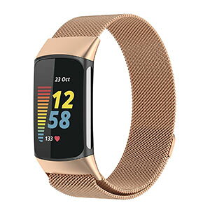 Fitbit Charge 6 EFAu[EX}[gEHb`  oh IV XeX rvxg p xg ւxg ȒP u₩ gтɕ֗ p lC  
