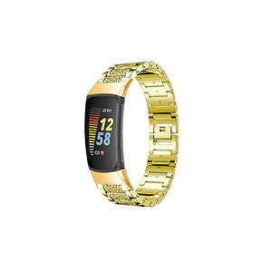tBbgrbg Fitbit Charge 6 EFAu[EX}[gEHb`  oh IV XeX rvxg p xg ւxg ȒP u₩ gтɕ֗ p lC 