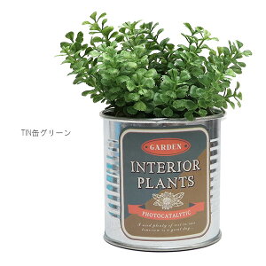 KI JAPANyP[ACWpz163244 TINʃO[ t@VFCv G} L Rی A  tFCNO[ IV CeA u 