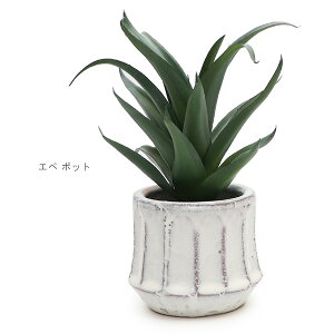 KI JAPANyP[ACWpz168744 Gy |bg AG G} L Rی A  tFCNO[ IV CeA u 