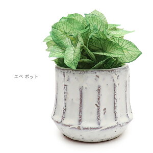 KI JAPANyP[ACWpz168751 Gy |bg VSjE G} L Rی A   tFCNO[ IV CeA u 