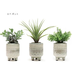 KI JAPANyP[ACWpz168713 / 168720 / 168737 sG |bg G} L Rی A   tFCNO[ IV CeA u 