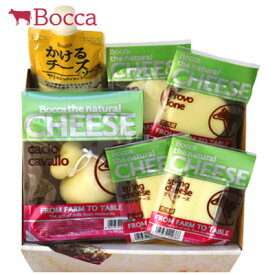 楽天市場 チーズギフトの通販