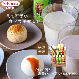 yqƁzv2ރ[Og4{ZbgyMtgZ[zy͂1231zBocca v ރ[Og Ε kC XC[c Mtg lߍ킹