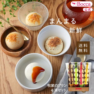 yqƁzqƂ̃v4{ZbgyMtgZ[zy͂1231z Bocca v N[u Lv  kC XC[c Mtg lߍ킹