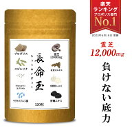 健康維持 元気 サプリ 霊芝 12000mg 高配合 れいし 乳酸菌 スピルリナ プロポリス 牡蠣 ブロッコリースプ…