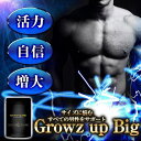 シトルリン サプリメント 活力 増大 サプリ アルギニン クラチャイダム マカ シトルリン Growz Up BIG 60粒《送料無料》※精力剤や薬ではなくサプ...