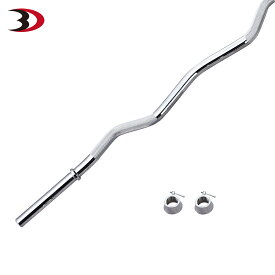 【全品ポイント10倍★15日23：59まで】BODYDESIGN（ボディデザイン）Wシャフト / 上腕 アームカール プリチャーカール ウエイトトレーニング 筋トレ トレーニング器具