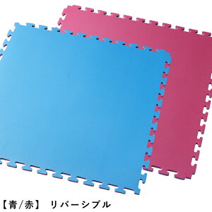 BODYDESIGNi{fBfUCjWCg}bgo[Vu 30Zbg / g[jO}bg X|[cW ̈ iZ   唻 h  t[Jbg