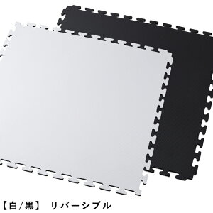 BODYDESIGNi{fBfUCjWCg}bgo[Vu 2Zbg / g[jO}bg X|[cW ̈ iZ   唻 h  t[Jbg