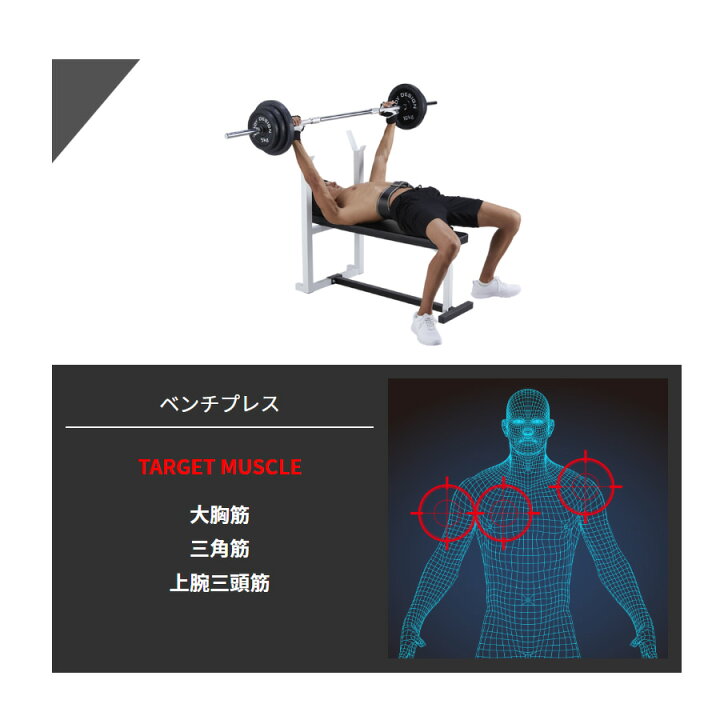 楽天市場】BODYDESIGN（ボディデザイン）セット商品 スターターパック 