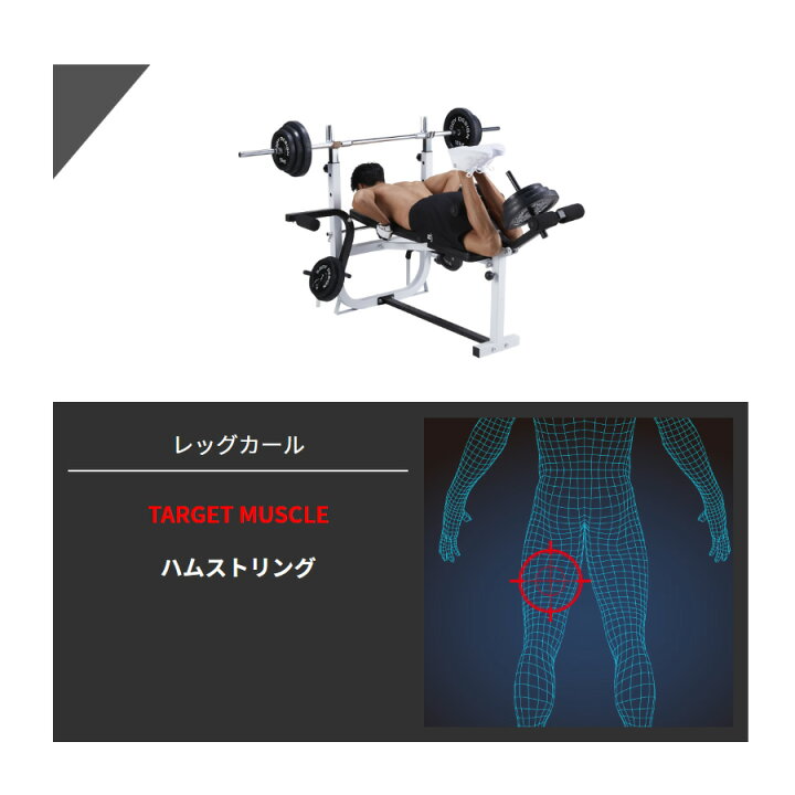 楽天市場】【全品ポイント10倍☆13日9：59まで】BODYDESIGN（ボディ 