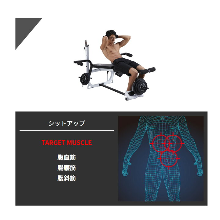 楽天市場】【全品ポイント10倍☆13日9：59まで】BODYDESIGN（ボディ 