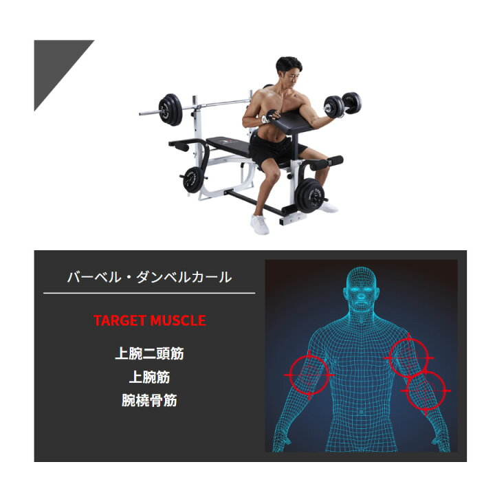 楽天市場】【全品ポイント10倍☆13日9：59まで】BODYDESIGN（ボディ 