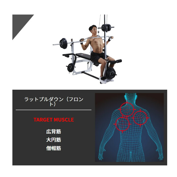 楽天市場】【全品ポイント10倍☆17日9：59まで】BODYDESIGN（ボディ 