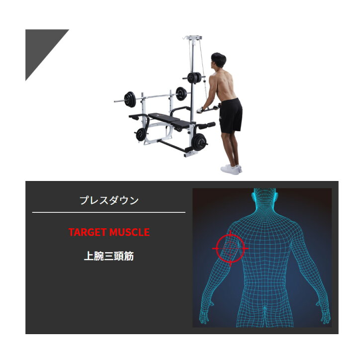 楽天市場】【全品ポイント10倍☆17日9：59まで】BODYDESIGN（ボディ 