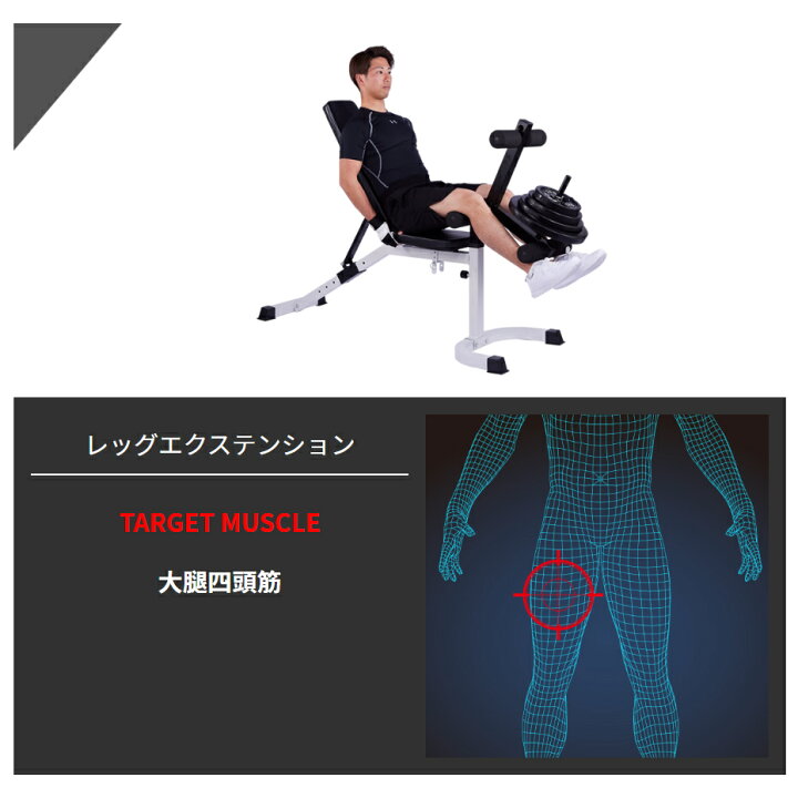 楽天市場】【全品ポイント10倍☆13日9：59まで】BODYDESIGN（ボディ 