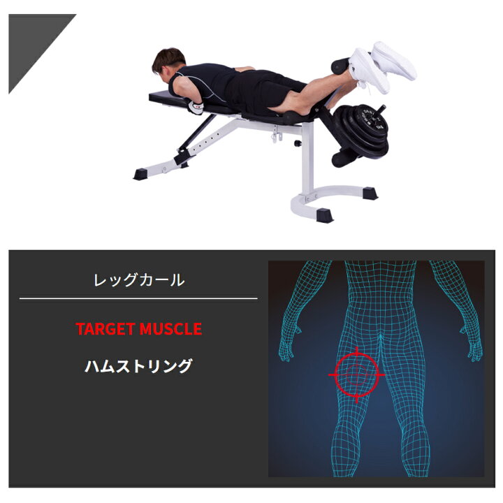 楽天市場】【全品ポイント10倍☆13日9：59まで】BODYDESIGN（ボディ 
