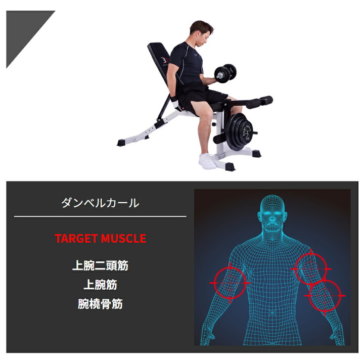 楽天市場】【全品ポイント10倍☆13日9：59まで】BODYDESIGN（ボディ 