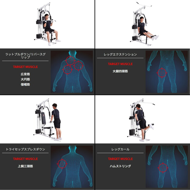楽天市場】【6/15はポイント10倍】BODYDESIGN（ボディデザイン）ホーム 