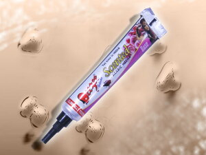 y[Yzwi^gD[ / wiy[Xg `[u^Cv ubN (25g) No37@ywi^gD[Zbg / wiR[ / wiJ[ / {fB[A[g / {fB[yCg / ^gD[ / tF