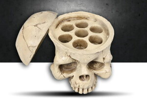 ^gD[CNz_[ ( hN j2@yTATTOO / tattoo / ^gD[ / n / n / h / gCo / ^gD[}V / ^gD[Lbg / ^gD[pi / ^gD[Zbg / ^gD[j[h /