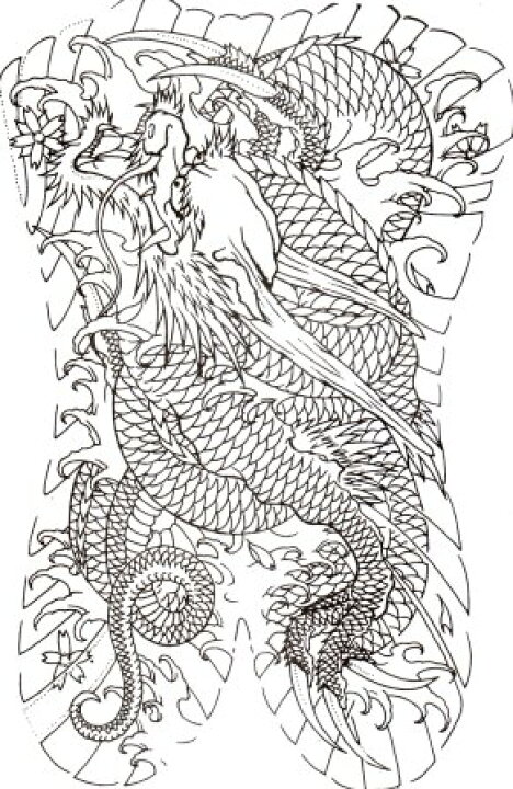 楽天市場 デザイン本 Tattoo紋身大家族 3 龍 Tattoo Tattoo タトゥー 入れ墨 入墨 刺青 トライバル タトゥーマシン タトゥーキット タトゥー用品 タトゥーデザインブック タトゥーセット タトゥーニードル