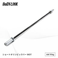 バーベルシャフト ショートタイプ 10kg オリンピック シャフト プレート シャフト径50mm プレスベンチ 筋…