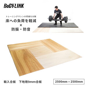 yyVC[OXӍ Si|Cg5{IzW}bg np  F4S h hU ی S}bg g[jO}bg tBbglX}bg Ռɘa T2F4S BoDYLINK ({fBN)