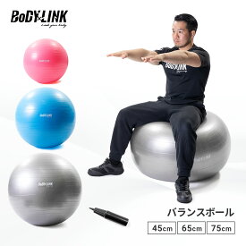 バランスボール おしゃれ ダイエット エクササイズ 体幹 オフィスダイエット TO-BB BoDYLINK (ボディリンク)