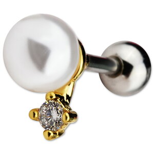 sAX {fBsAX sAX gKX wbNX ×p T[WJXeX AM[Ή 16g 16Q[W p[ rW[  