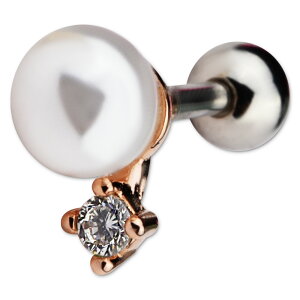 sAX {fBsAX sAX gKX wbNX ×p T[WJXeX AM[Ή 16g 16Q[W p[ rW[  