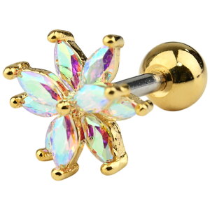 sAX  16g {fBsAX  t[ I[ WG Xg[go[x  T[WJXeX AM[Ή p sAX p C[ u wbNX