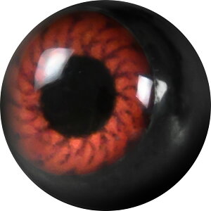 �L���b�`�̂� �{�f�B�s�A�X �L���b�` �p�[�c 12g 14g 16g 18g �ڋ� �A�j�}�� �����A�����M�[�Ή� ��×p �T�[�W�J���X�e�����X �g���K�X �˂��� �J�X�^�}�C�Y �l�W�� ������ ��p ��s�A�X 