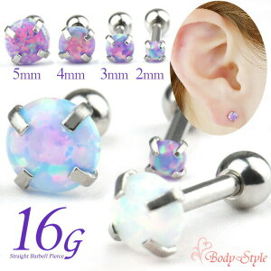  sAX 16g 2mm Ip[ {fBsAX ×p T[WJXeX sAX   p C[u p gKX wbNX AM[Ή Vo[ 