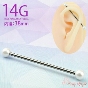 C_XgA sAX 14g 14Q[W {fBsAX p[ 킢 Vv Vo[ sAX ×p T[WJXeX AM[Ή  Oo[x Xg[go[x u