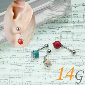 ւsAX 킢 14g {fBsAX ^[RCY GXjbN AM[Ή J[uo[x lCu sAX Vo[  sAX C[u  ur urk