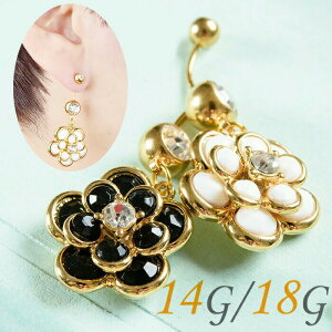 yV1 ւsAX 14g 18g 킢  {fBsAX `[  JA J[uo[x oiio[x  sAX ׂ  J[uho[x u WG AM[Ή l