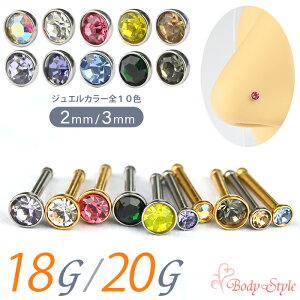 @sAX 18g 20g ςȂ X^bh {fBsAX m[YsAX T[WJXeX AM[Ή Vo[ S[h Vv dp  Ԃ LLsAX @s {f