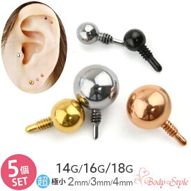 キャッチのみ 5個セット ボディピアス キャッチ パーツ ボール 14G 16G 18G 2mm 3mm 4mm インターナル ネジ山 金属アレルギー対応 医療用 サージカルステンレス 極小 カスタマイズ 仕事用