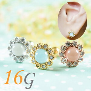 sAX 16g {fBsAX  t[  sAX sAX  p C[u p gKX wbNX Ip[ Vo[ S[h sNS[h 킢 p  urk