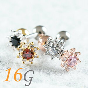 {fBsAX 16g Xg[go[x  t[  sAX AM[Ή WG T[WJXeX gKX sAX  wbNX  p