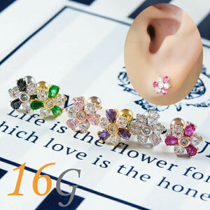 {fBsAX 16g  t[  sAX sAX  p C[u p gKX wbNX WG rW[ T[WJXeX AM[Ή