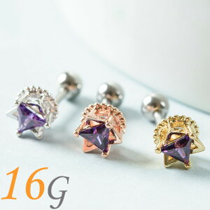 {fBsAX 16g  sAX WG ×p T[WJXeX AM[Ή sAX   p C[u p gKX wbNX Xg[go[x V u