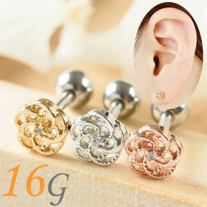 {fBsAX 16g  sAX sAX   킢  p C[u p gKX wbNX Xg[go[x  AM[Ή T[WJXeX