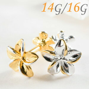 {fBsAX 16g 14g  sAX sAX   p C[u p gKX wbNX  vA nCAWG[ T[WJXeX AM[Ή 