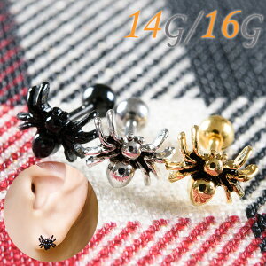  sAX 14g 16g {fBsAX sAX  p C[u p gKX wbNX  sAX T[WJXeX AM[Ή Vo[S[h ubN  X ur