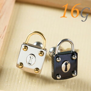  sAX 16g {fBsAX sAX   p C[u p gKX wbNX AM[Ή T[WJXeX Vo[ S[h ubN  Xg[