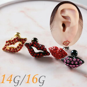  sAX 16g 14g sAX {fBsAX 킢 O bv pF WG AM[Ή T[WJXeX ×pXeX sAX   p C[  ur