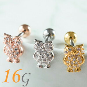  sAX 16g {fBsAX sAX   p C[u p gKX wbNX Xg[go[x T[WJXeX AM[Ή Vo[ S[h ur